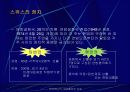 스위스의 역사와 문화 7페이지