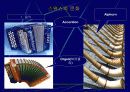 스위스의 역사와 문화 10페이지