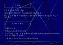 스위스의 역사와 문화 18페이지