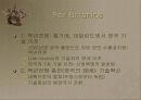 재료와 문명 5페이지