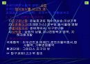 환경문제와 지역문제 4페이지