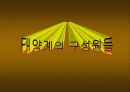 천문학 천체에 모든것 29페이지