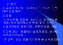 지진과 화산 19페이지