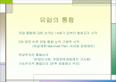 유럽 연합 2페이지