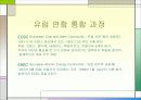 유럽 연합 5페이지