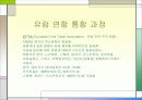 유럽 연합 7페이지