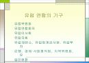 유럽 연합 10페이지