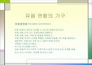 유럽 연합 11페이지