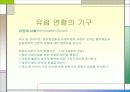 유럽 연합 13페이지