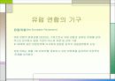 유럽 연합 14페이지