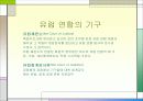 유럽 연합 15페이지