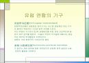 유럽 연합 16페이지
