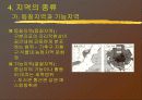 국토의 이해 10페이지