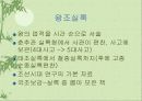 조선시대의 문화 11페이지