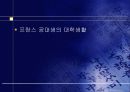 프랑스 대학 제도 17페이지