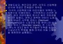 산업화와 건강문제 13페이지