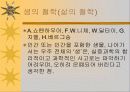 유럽의 철학 37페이지