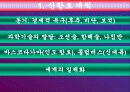 신항로 개척 3페이지