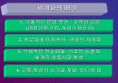 신항로 개척 21페이지