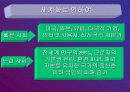 신항로 개척 22페이지