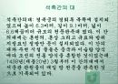 세종대왕 5페이지