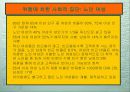 노화의 사회적의미 13페이지