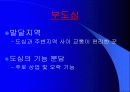 도시란 무엇인가 10페이지
