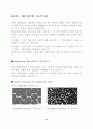 리퀴드메탈(Liquid Metal) 4페이지