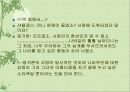 페미니즘과 문학(문학적 상징으로서의 나비부인) 13페이지