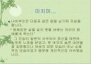 페미니즘과 문학(문학적 상징으로서의 나비부인) 19페이지