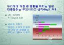 일본 대중문화 개방후 의식변화 조사 12페이지