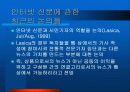 종이 신문과 인터넷 신문 18페이지