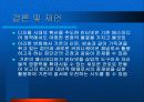 종이 신문과 인터넷 신문 40페이지