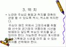 유도론 심판의 자질 7페이지