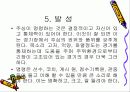 유도론 심판의 자질 11페이지