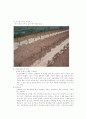 멀칭 mulching 2페이지