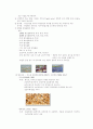 멀칭 mulching 3페이지