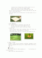멀칭 mulching 4페이지