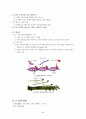 골격근의 구조와 기능 2페이지