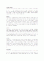 레지오 에밀리아 접근법 13페이지
