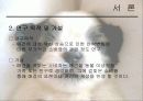 애견마케팅 4페이지
