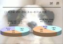 애견마케팅 13페이지