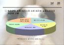 애견마케팅 15페이지