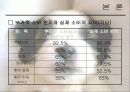 애견마케팅 17페이지