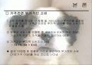 애견마케팅 18페이지