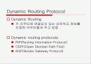 라우팅 프로토콜 조사 5페이지