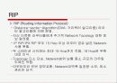 라우팅 프로토콜 조사 13페이지