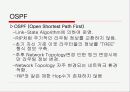 라우팅 프로토콜 조사 17페이지