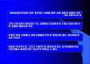 인터넷 여론형성의 긍정적인 측면 3페이지