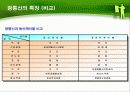 광통신의 종류 및 특징 17페이지